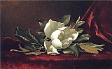 The Magnolia Blossom by Martin Johnson Heade